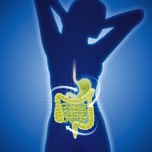 Abbildung des menschlichen Darms